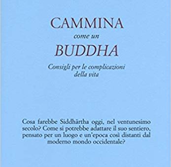 Lodro Rinzler, Cammina come un Buddha