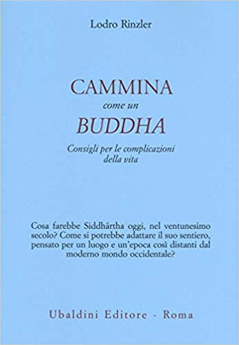 Lodro Rinzler, Cammina come un Buddha