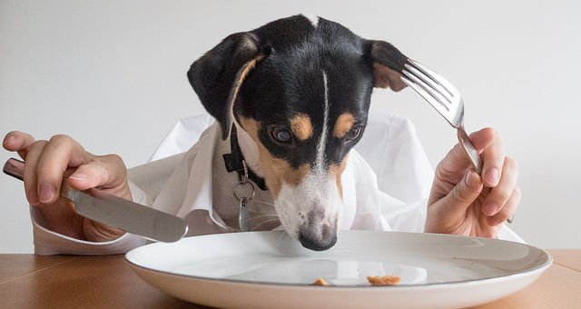 Georgie Pauwels, Dinner for One