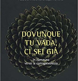 Jon Kabat-Zinn, Dovunque tu vada ci sei già