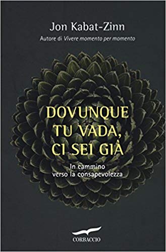 Jon Kabat-Zinn, Dovunque tu vada ci sei già