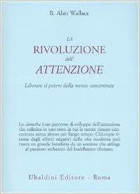 Alan Wallace, La rivoluzione dell'attenzione