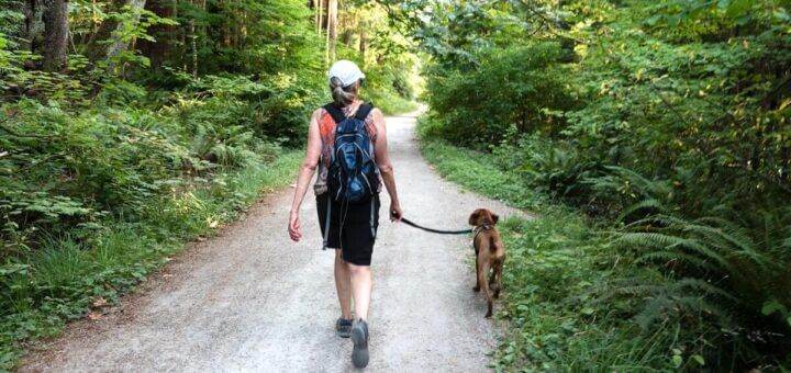 Meditazione camminata in montagna