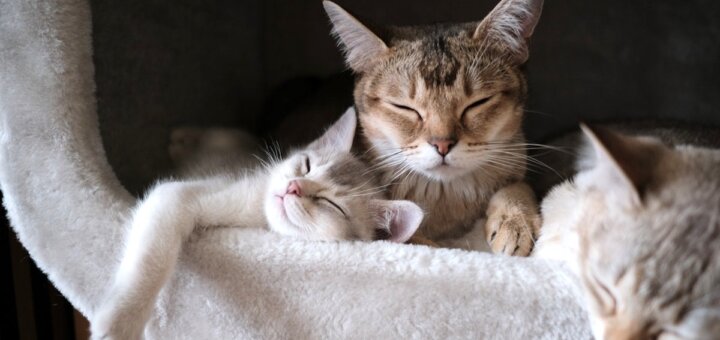 meditazione perdita di tempo