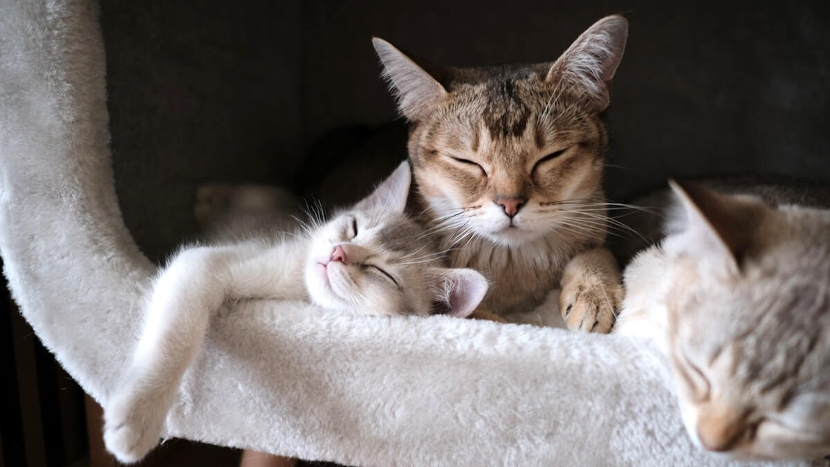 meditazione perdita di tempo