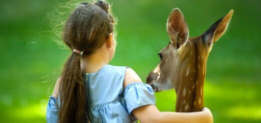 meditazione sulla compassione