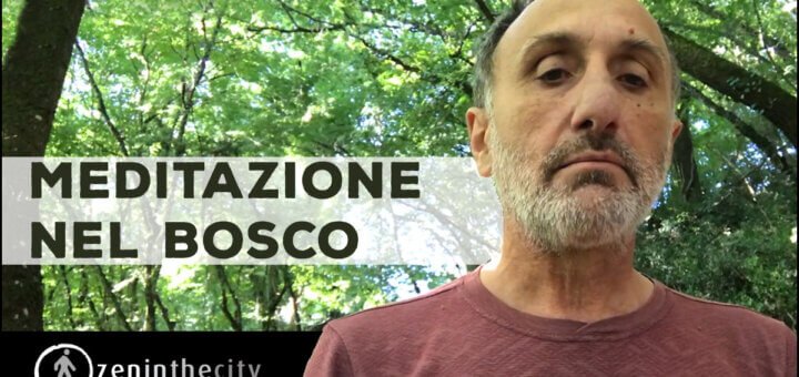 meditazione nel bosco