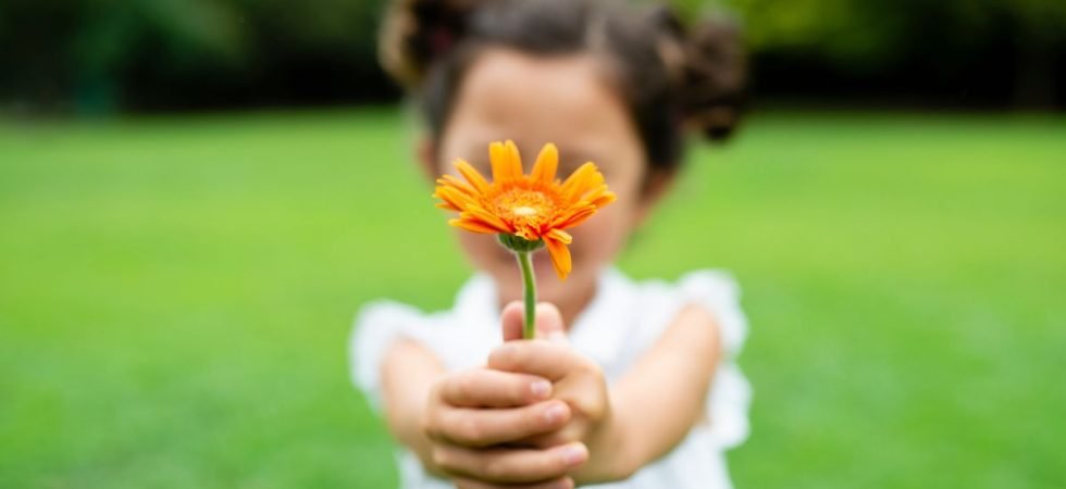 meditazione della gratitudine