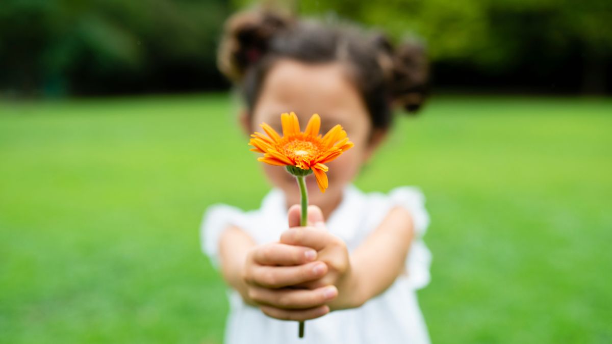 meditazione della gratitudine